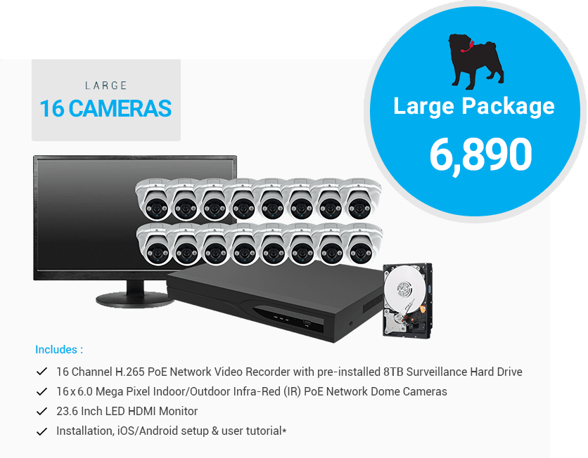 Video surveillance System large watchdog